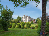 Обслуживание газона и клумб