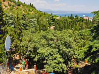 ������ ��������� � 