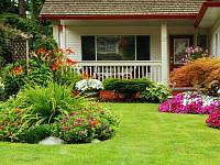 Устройство газонов